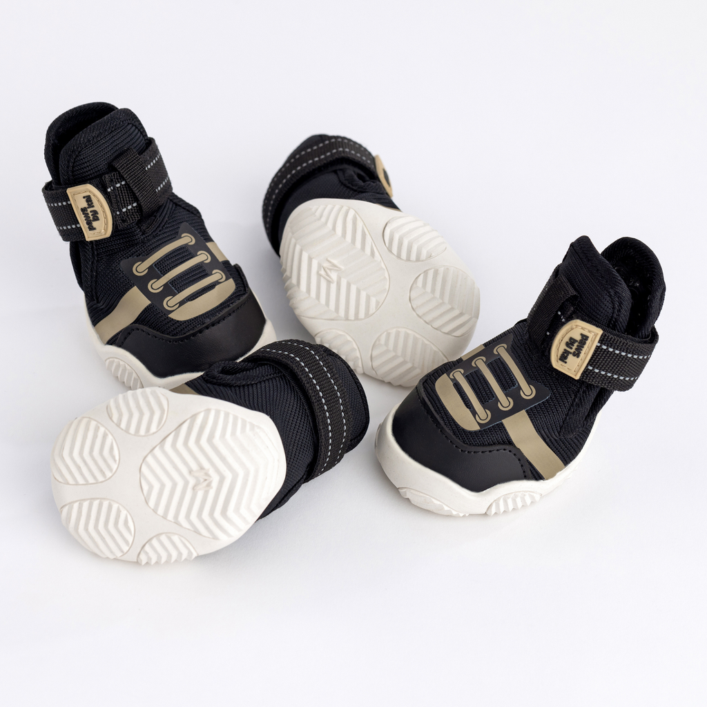 The Kai- Dog Sneaker