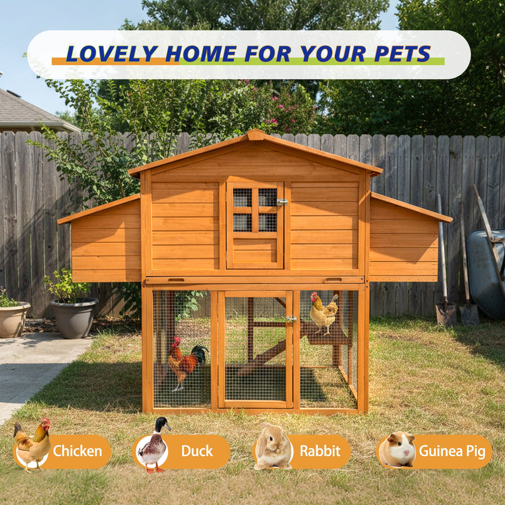 Chicken House for Outdoor Use