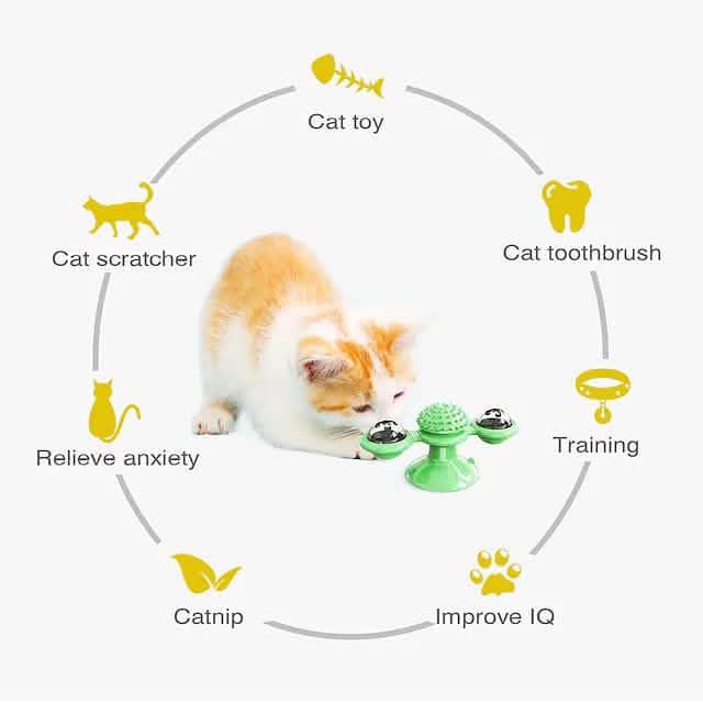 Cat Teases Interactive Pet Toy